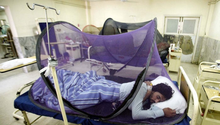 50,000 tested positive for dengue across Pakistan, 250 dead, claim health officials