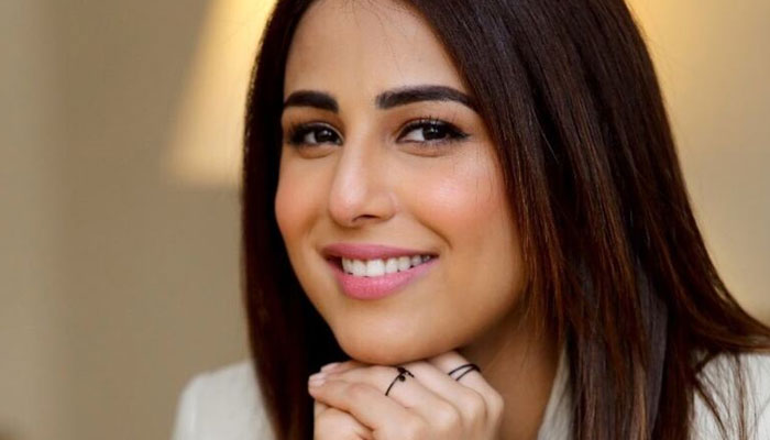 Ushna Shah slams 'warriors of the Twitter world' after pizza delivery guy outrage