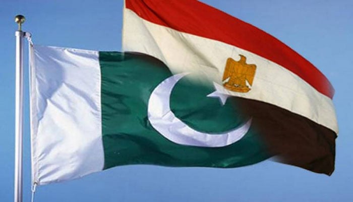 Pakistan, Egypt sign MoU to set up Joint Working Group on Trade