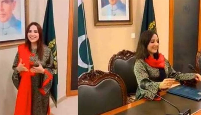 Tik Tok star Hareem Shah wanted to meet this politician during her visit to MoFA