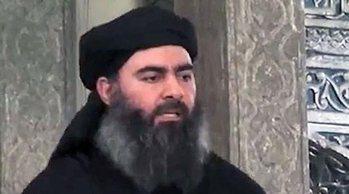 Daesh head Baghdadi believed dead after US strike in Syria