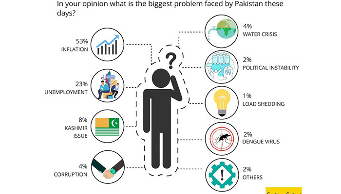 Majority Pakistanis identify economy as biggest problem: poll