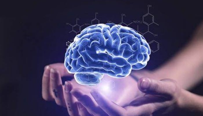 Indians have smallest brains in the world: research