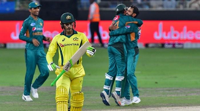 Pakistan v Australia: pups versus bulldogs this is not Pakistan v Australia: pups versus bulldogs this is not