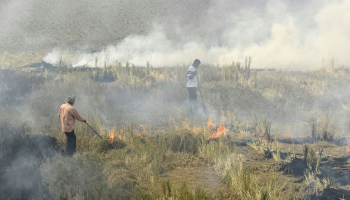 Scores of Indian farmers arrested over polluting fires