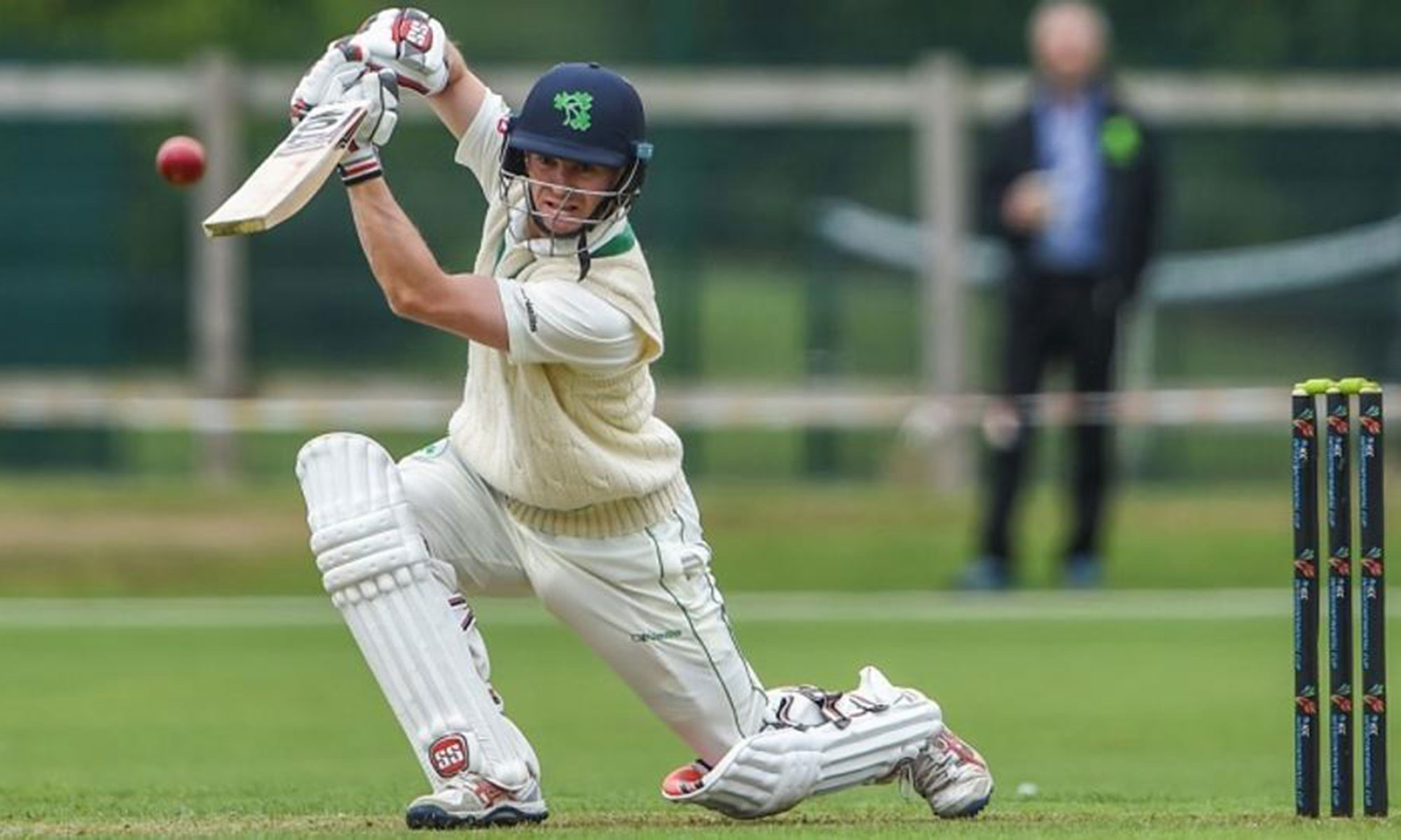 William Porterfield steps down as Ireland captain