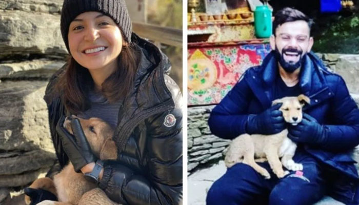 Anushka Sharma, Virat Kohli shower love on street dogs during Bhutan getaway