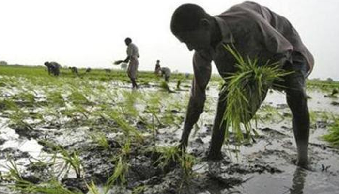 Punjab police files water theft case against 15 farmers who have died