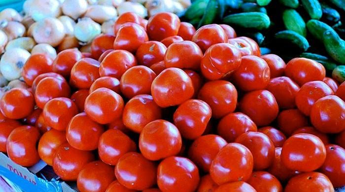 Tomato politics over the years Tomato politics over the years
