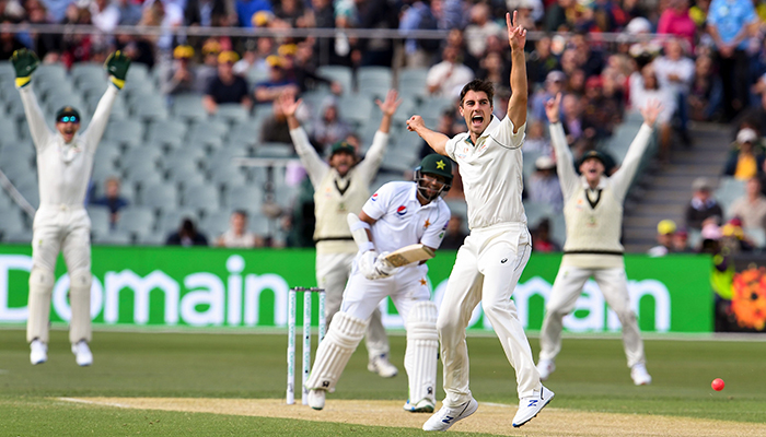 Six-down Pakistan in deep trouble on Warner's historic day