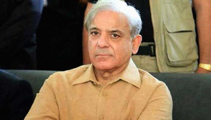 NAB decides to seal 13 properties belonging to Shehbaz, his sons and wives
