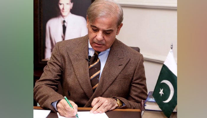 Did Shehbaz Sharif employ money launderers at the CM Punjab office?