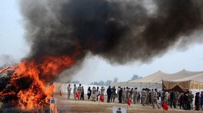 Working on lawmaking to use seized drugs as herbal products: Shehryar Afridi