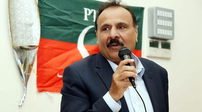 Pakistan Raza Opd Objections raised over appointments in Overseas Pakistanis Commission (OPC)
