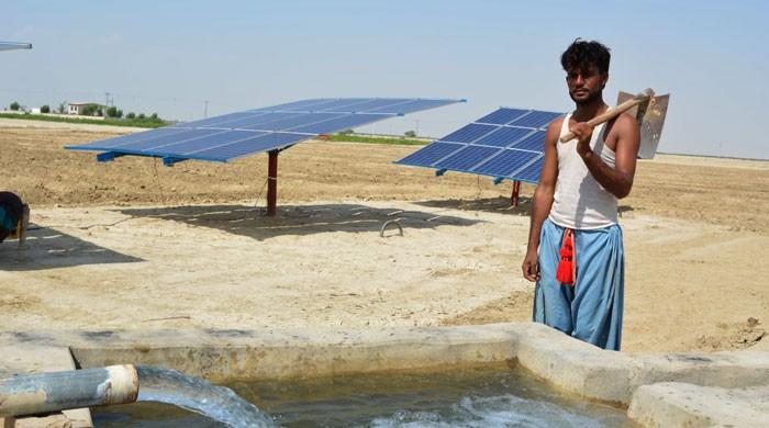 Villages in Sindh light up with solar power Villages in Sindh light up with solar power