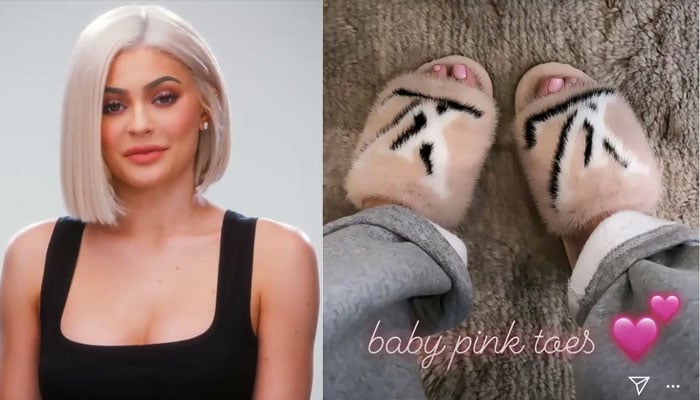 Kylie Jenner slammed for flaunting pink mink slippers after mourning animal  deaths in the Australian fires – The US Sun | The US Sun