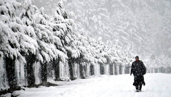 Indian soldier 'slips' in Kashmir snow, lands in Pakistan: report