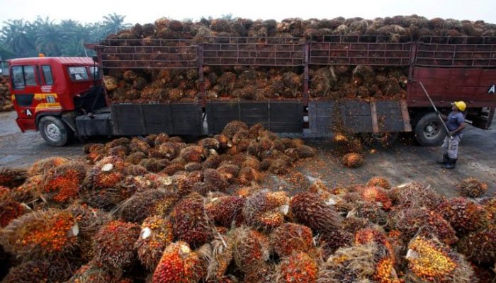 Indian, Malaysian ministers likely to discuss palm oil row on sidelines of WTO moot
