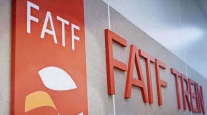 Pakistan delegation in Beijing for important FATF meeting