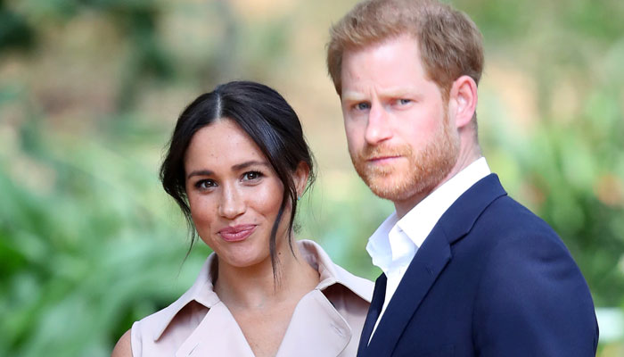 Breaking down Harry and Meghan's bid for 'financial independence'