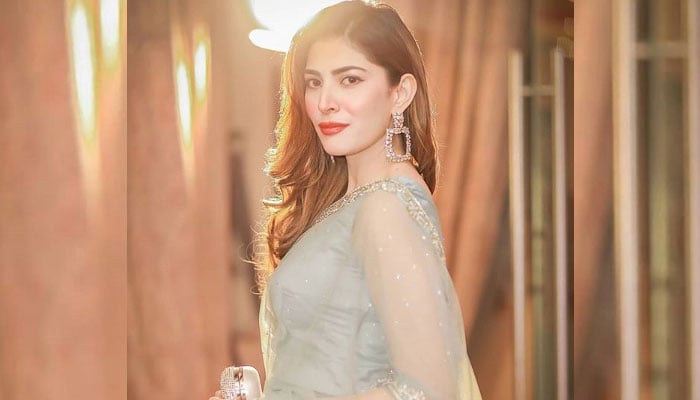 Naimal Khawar looks breathtaking in sheer saree: Pictures inside