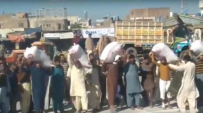 Faisalabad labourers hold unique 'wheat sack race'