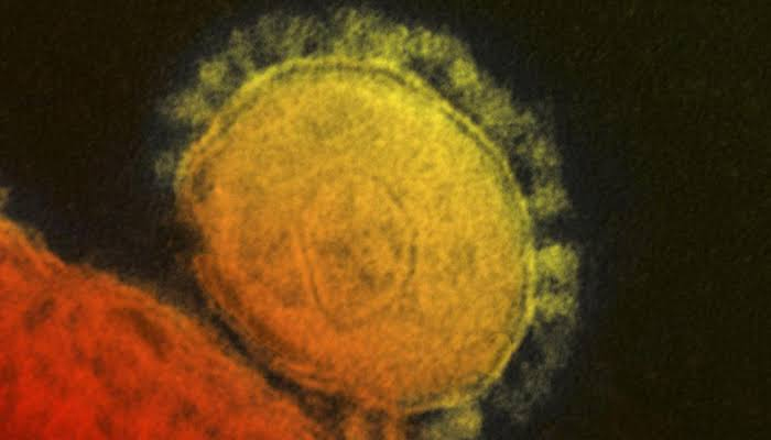 Two coronavirus patients in UK being given treatment