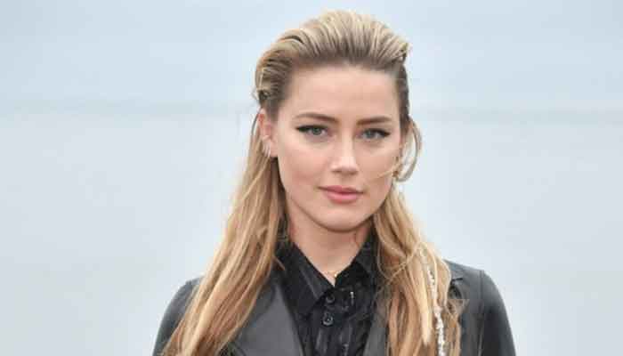27+ Amber Heard 2020 Oscars Pics