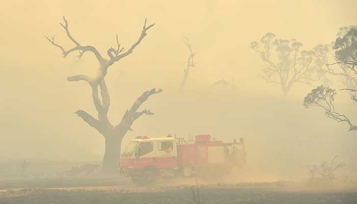Downpours to end Australia's ordeal with bushfires