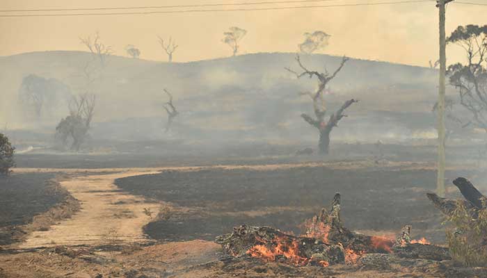 After fires Australian state threatened by floods now