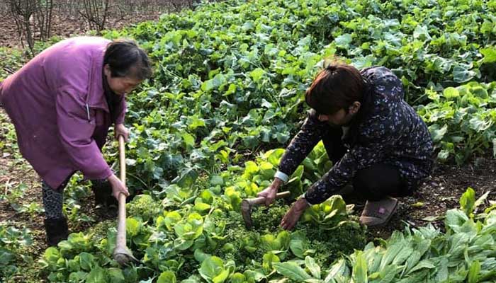 A family in China's Hubei province hosts Pakistani student despite coronavirus fears