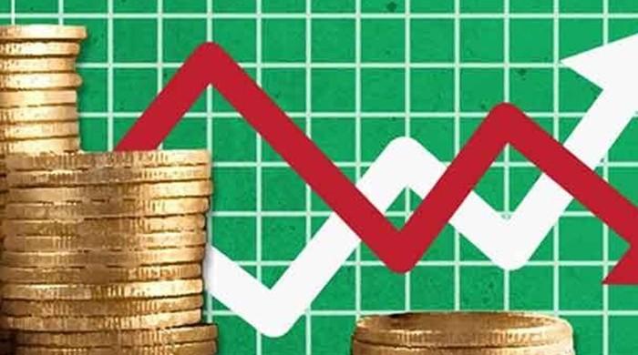 Inflation surged 14.6% in January, National Price Monitoring Committee told