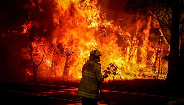 Australia launches inquiry into causes of bushfires