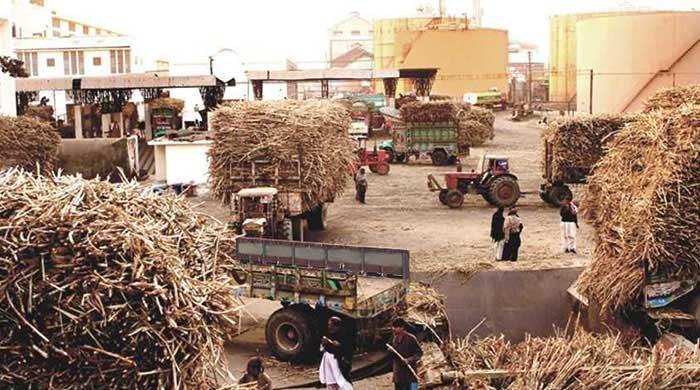 Punjab govt using ‘delaying’ tactics in provision of sugar mills data to FIA: report