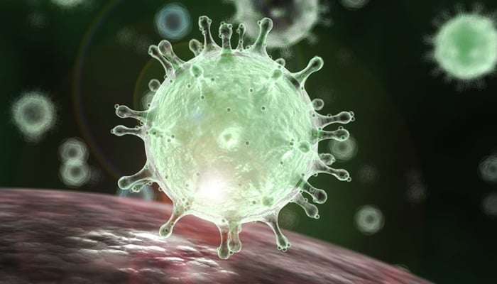 Eight of 27 people who contacted latest coronavirus patient test negative