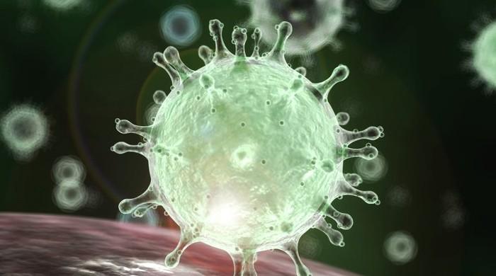 You can get checked for coronavirus at these hospitals and labs in Karachi