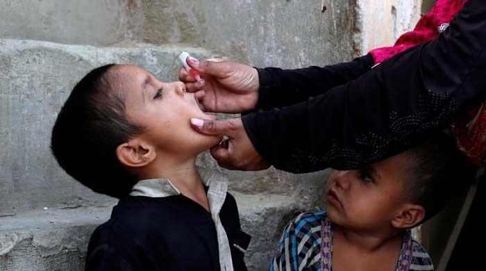 KP reports 13 new polio cases in a single day