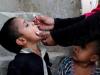 KP reports 13 new polio cases in a single day