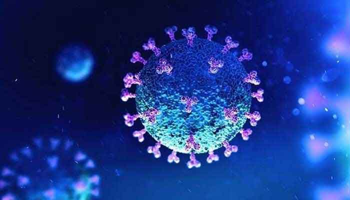 New study reveals startling details about coronavirus