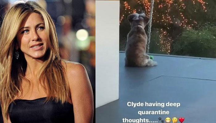Jennifer Aniston shares hilarious post of her dog Clyde having 'deep quarantine thoughts’