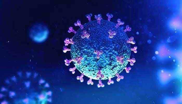 Nationwide tally of coronavirus patients rises to 640