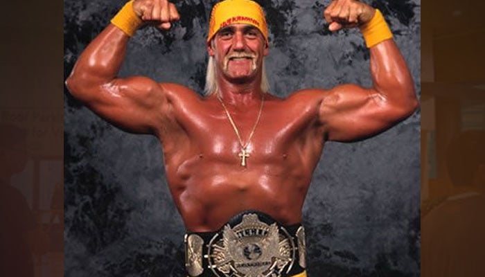 Legendary wrestler Hulk Hogan finally settles $110 million sex tape case with Cox Radio