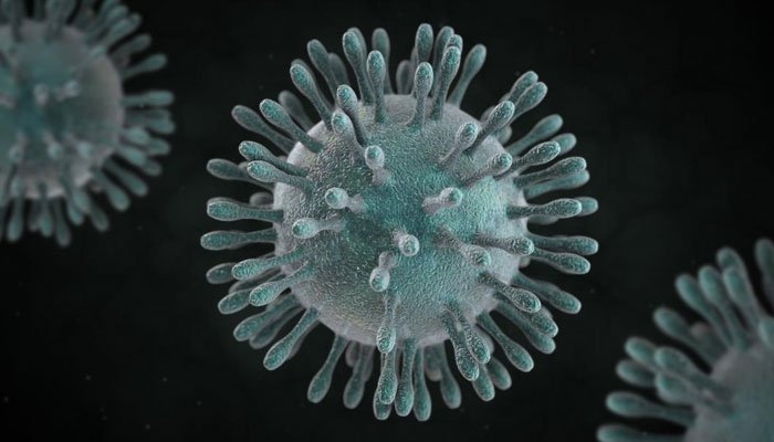 Coronavirus cases in Italy "10 times higher" than reported
