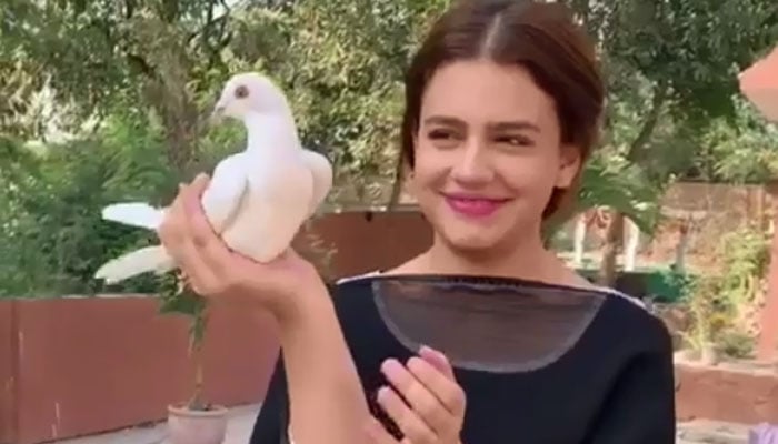 Zara Noor Abbas reveals she was 'always afraid of holding animals'