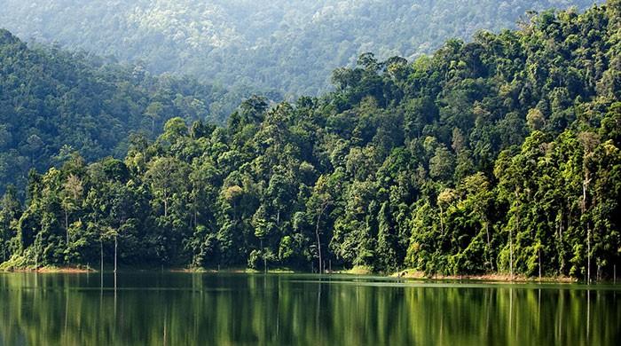 As the world battles the coronavirus, perhaps it is time humans reflect on their arrogance