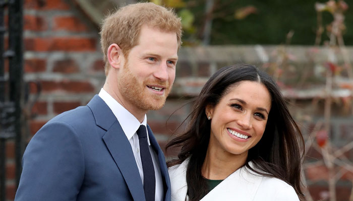 Harry and Meghan Markle have put their 'rebranding' plans on ice for now