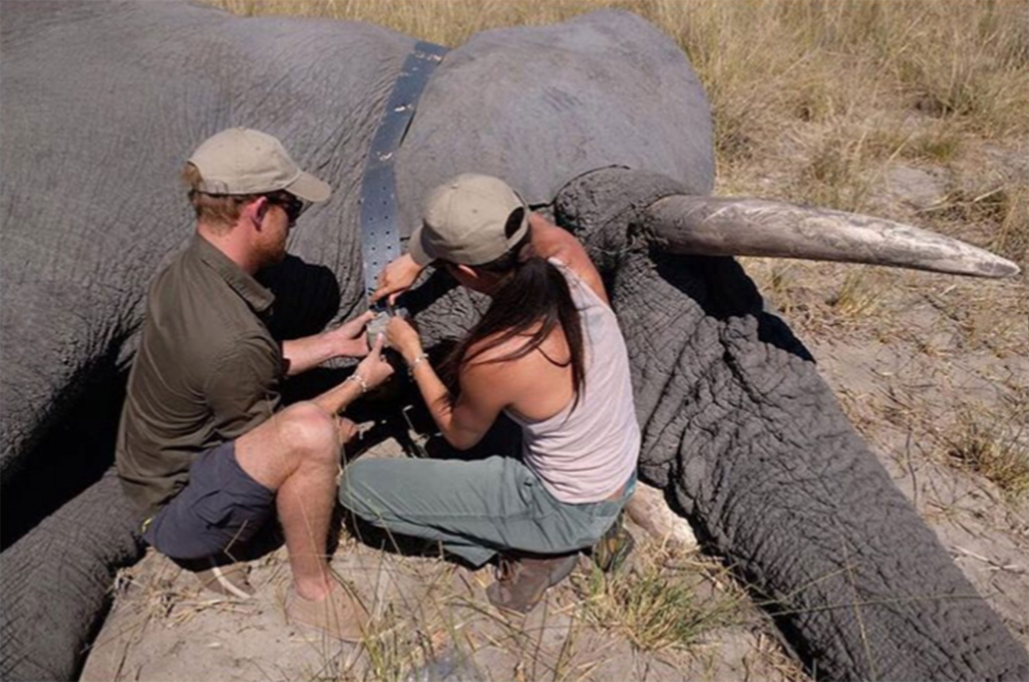 Meghan Markle 'transfixed' by elephants and their 'female empowerment side'