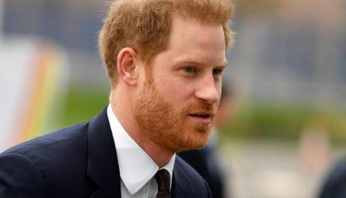 Prince Harry stresses on keeping the morale up to combat pandemic