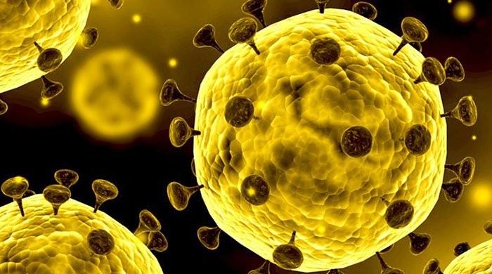 Timely action, large-scale testing best strategy to deal with coronavirus