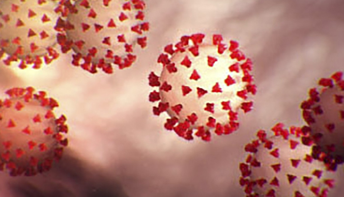 Italy launches antibody tests for virus immunity